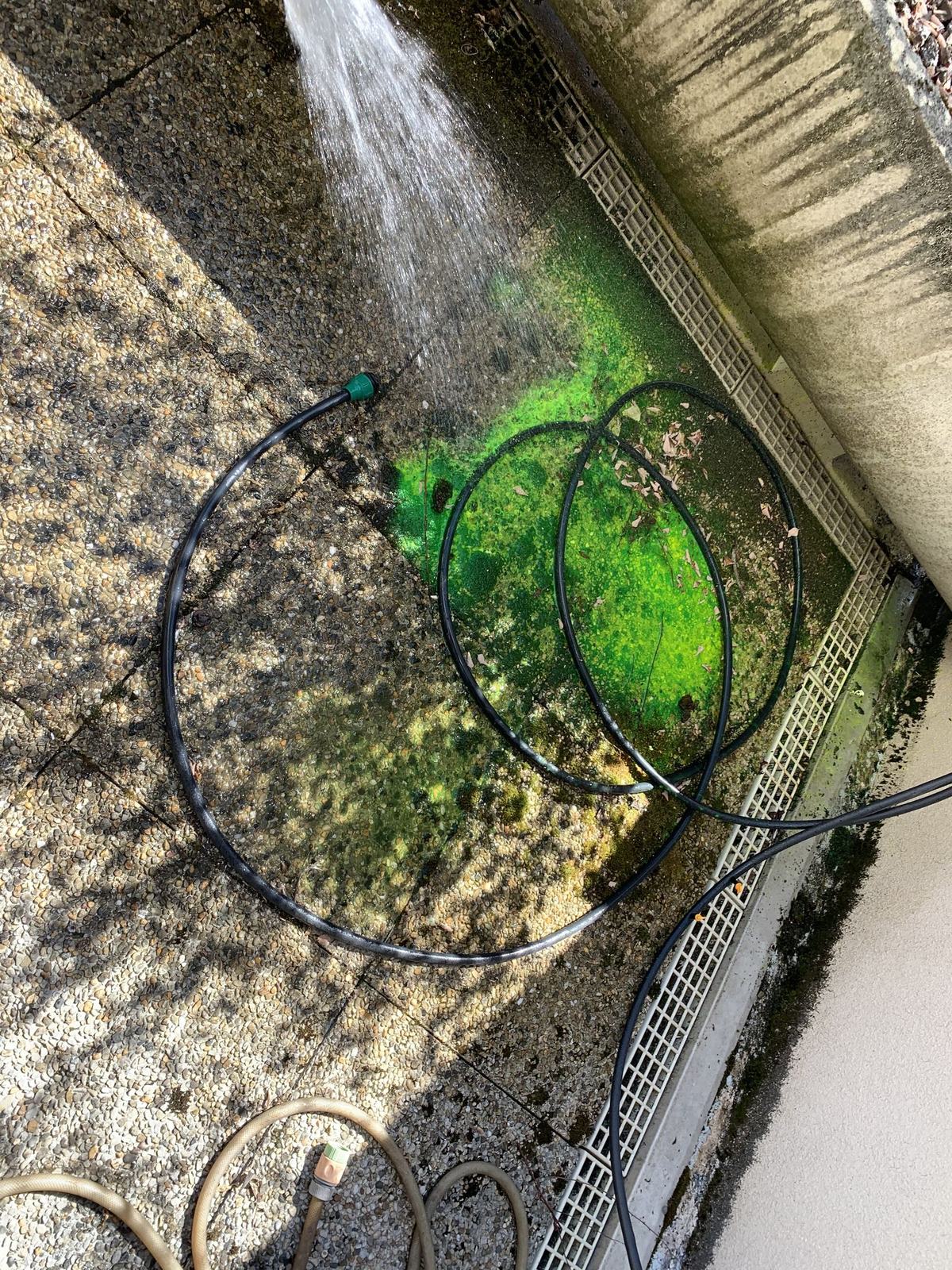 Recherche d'infiltration en façade